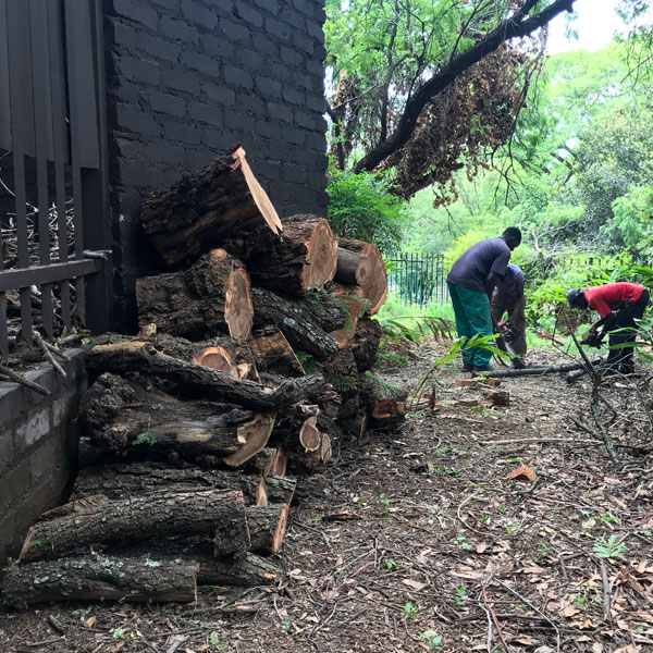 Arnold's Tree Felling team cleaning up and stacking tree stumps